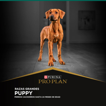 1-Puppy_Razas-Grandes_E-COMERCE-PROPLAN.jpg