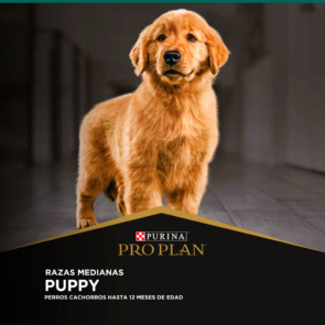 1-Puppy_Razas-Medianas_E-COMERCE-PROPLAN.jpg