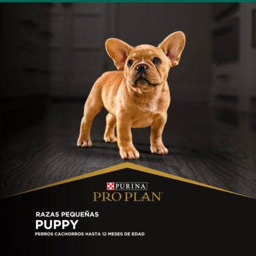 1-Puppy_Razas-Pequenas_E-COMERCE-PROPLAN.jpg