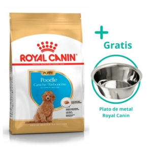 royal canin