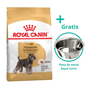 Royal Canin Adult Miniature Schnauzer + plato