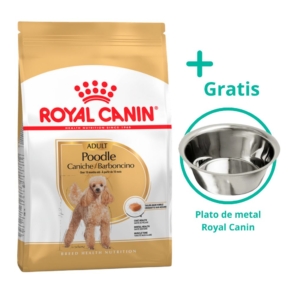 Royal Canin Adult Poodle + plato