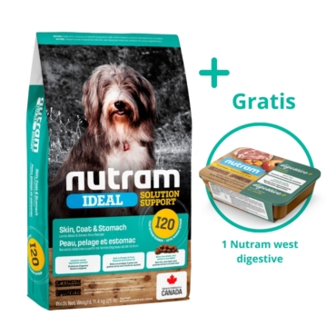 Nutram I20 + wet food