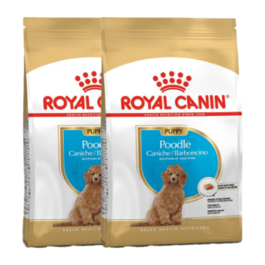 Promo_Royal_Canin_poodle_cachorro-1.jpg