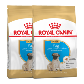 Promo_Royal_Canin_pug_cachorro-1