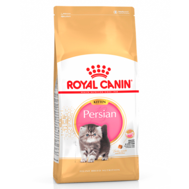 Royal_Canin_felino_persa_kitten-1.jpg