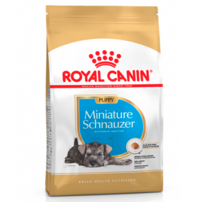 Royal_Canin_miniature_schnauzer_cachorro.jpg