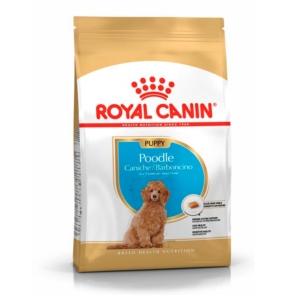 Royal_Canin_poodle_cachorro-1-scaled-1.jpg