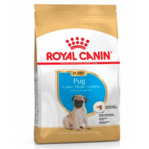 Royal_Canin_pug_cachorro-scaled-1.jpg