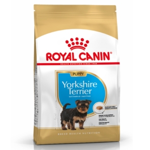 Royal_Canin_yorkshire_cachorro-scaled-1.jpg