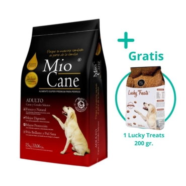 mio cane (2)