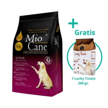 mio cane (3)