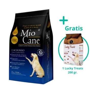 mio cane