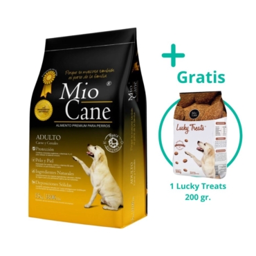 mio cane (4)