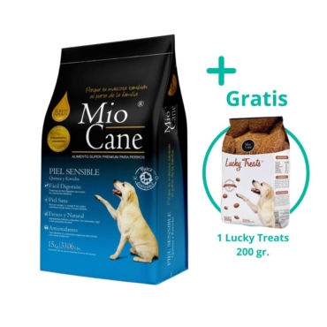 mio cane (5)