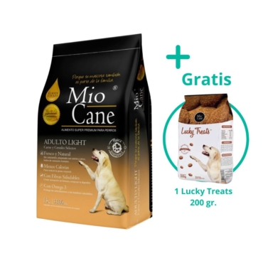 mio cane (6)